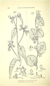 n379_w1150