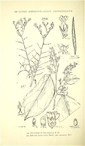 n375_w1150