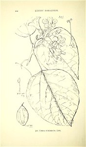 n371_w1150