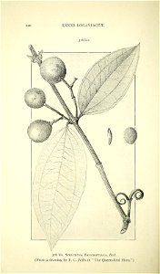 n367_w1150