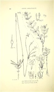 n363_w1150
