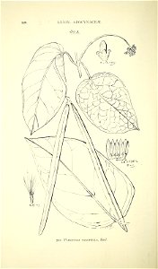 n355_w1150