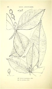n349_w1150