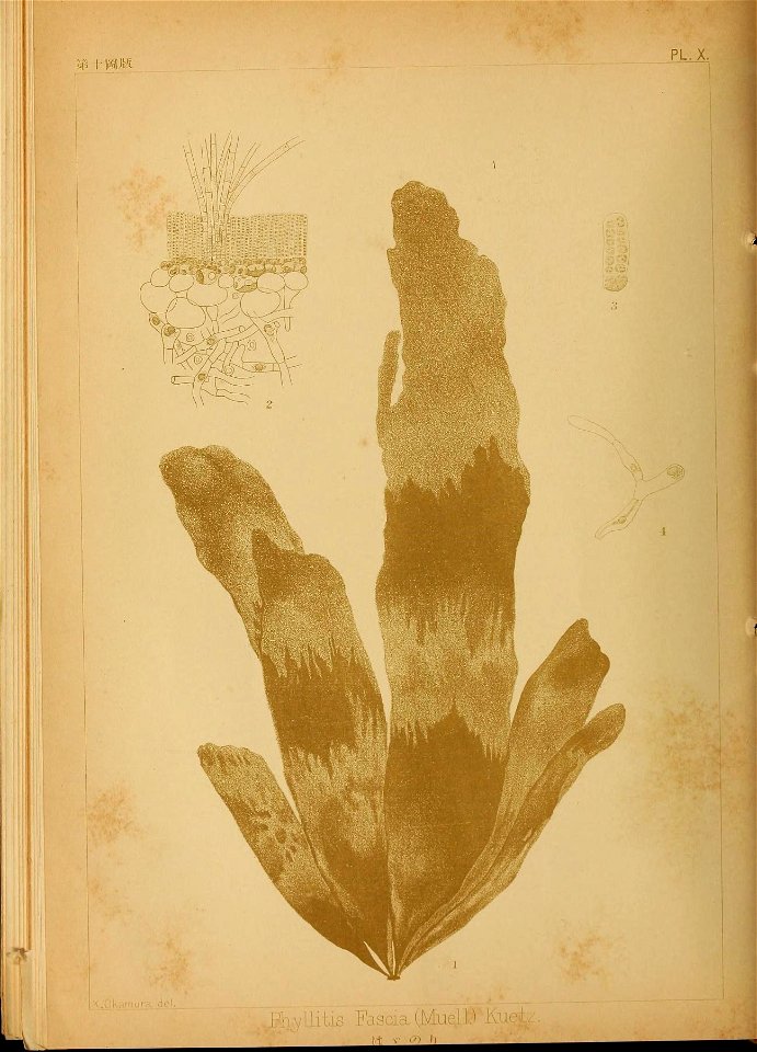 n99_w1150