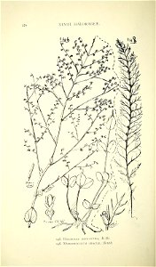 n199_w1150