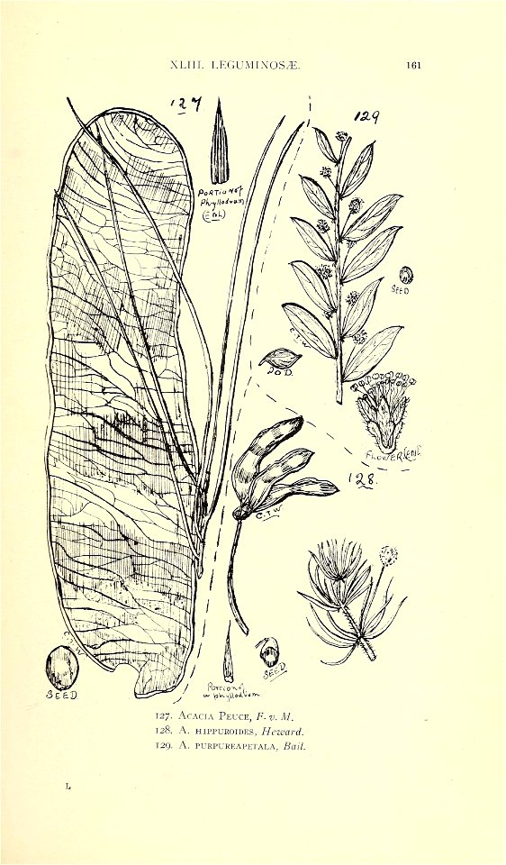 n180_w1150