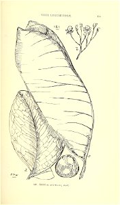 n174_w1150