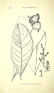 n137_w1150