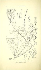 n129_w1150