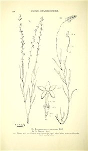 n119_w1150