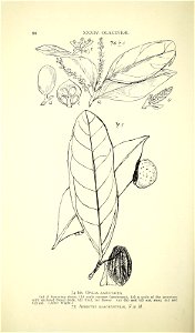 n113_w1150