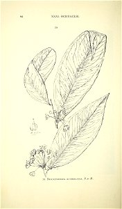 n107_w1150