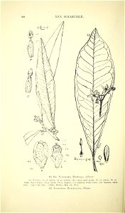 n103_w1150