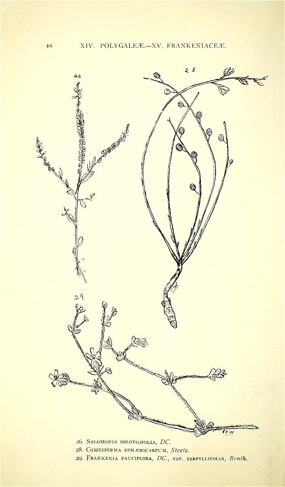 n57_w1150