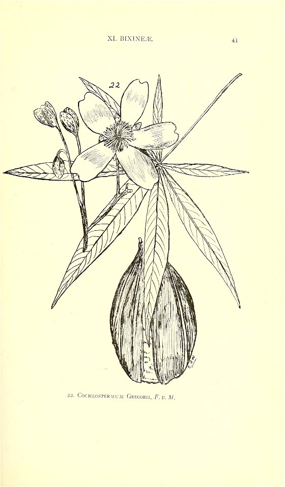 n52_w1150