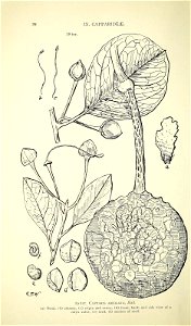 n49_w1150