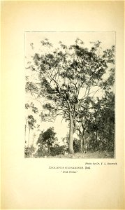n15_w1150