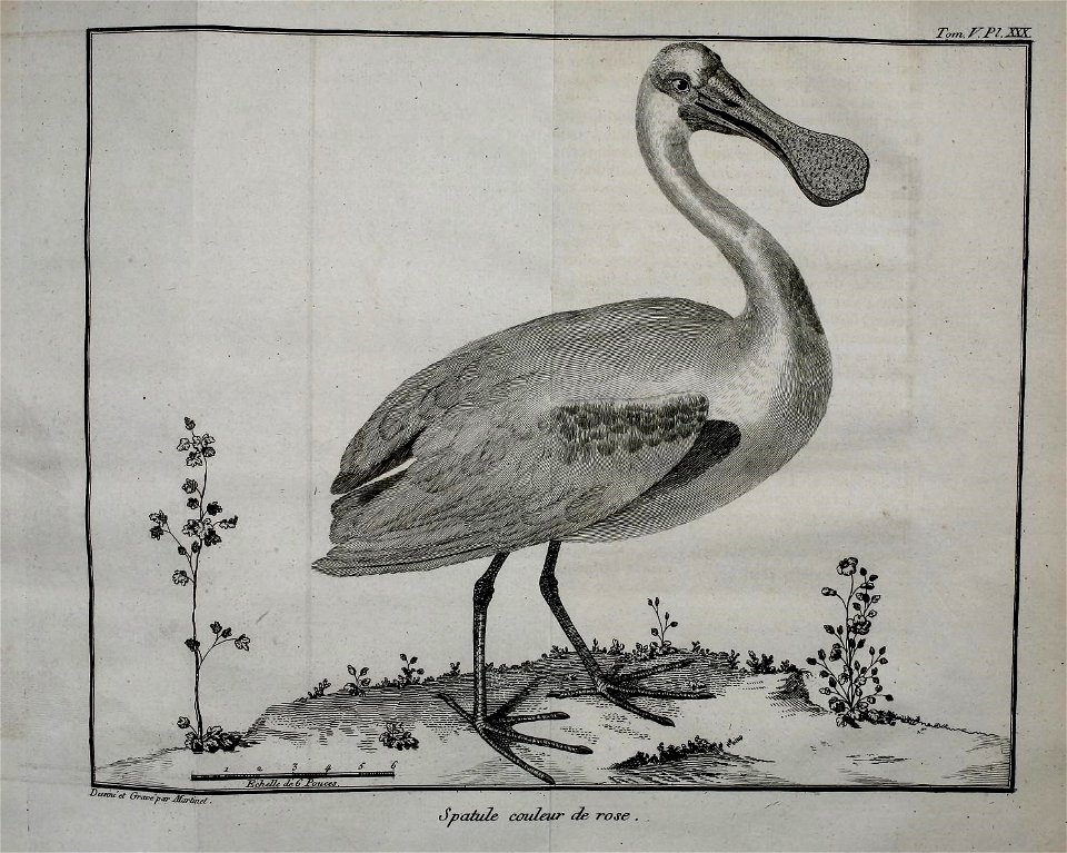 n492_w1150