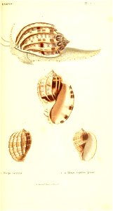 n330_w1150