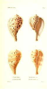 n312_w1150
