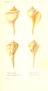 n306_w1150