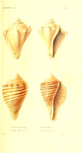 n298_w1150