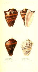 n290_w1150