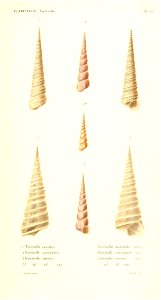 n248_w1150