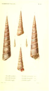 n238_w1150