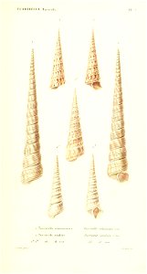 n236_w1150