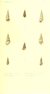 n152_w1150