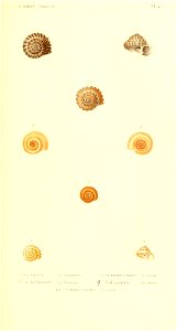 n174_w1150