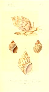 n114_w1150