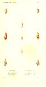 n98_w1150