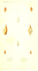 n102_w1150