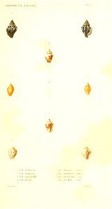 n94_w1150