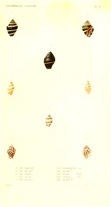 n84_w1150