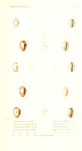 n436_w1150