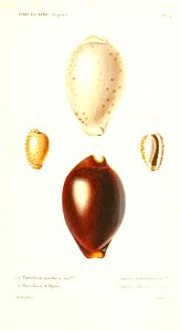 n416_w1150