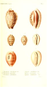 n374_w1150