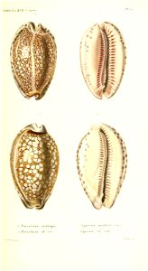n364_w1150