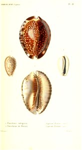 n366_w1150