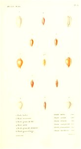 n162_w1150