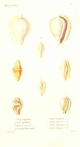 n154_w1150