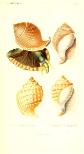 n120_w1150