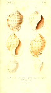 n108_w1150