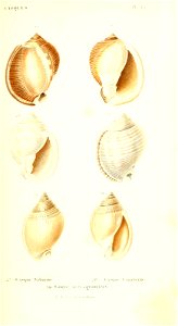 n104_w1150