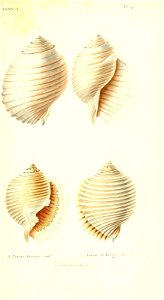 n34_w1150
