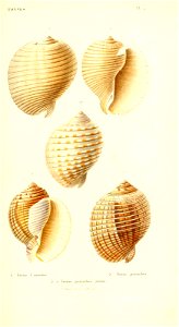 n30_w1150