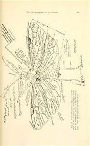 n152_w1150